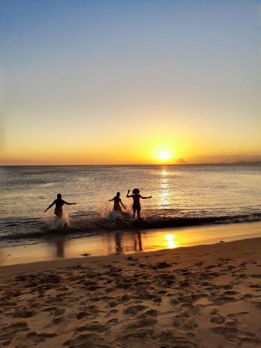 [object Object] é boa?