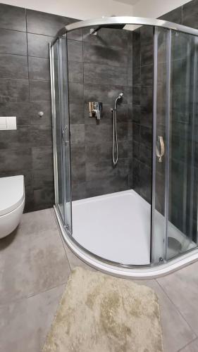 a shower with a glass door in a bathroom at Novohradská in České Budějovice