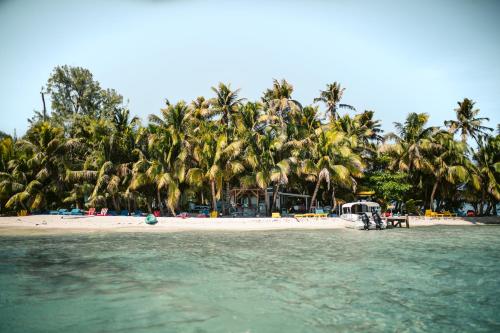 a beach with a bunch of palm trees and the water at Ranguana Caye Cabanas in Placencia Village