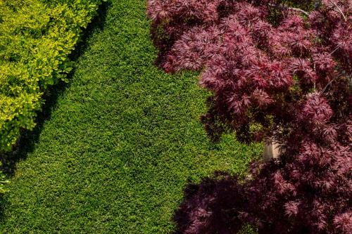 an overhead view of a garden of green and purple plants at Rocca Riviera Umag Luxury Apartments in Umag