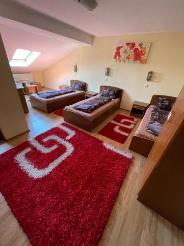 a living room with two couches and a red rug at Pensiunea Olympia Nădab in Nădab