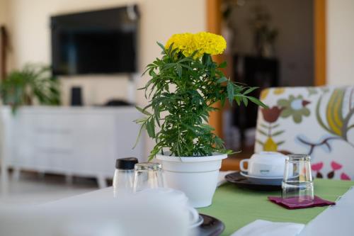 a yellow flower in a white pot on a table at Quinta Salinas - Puro Prazer in Aveiro