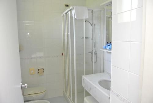 a bathroom with a shower and a toilet and a sink at Hotel Garden in Garda