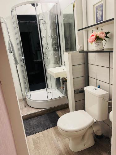 une salle de bain avec des toilettes blanches et une douche dans l'établissement LE COSY - Lumineux - Proche de Rennes - Spacieux, à Liffré