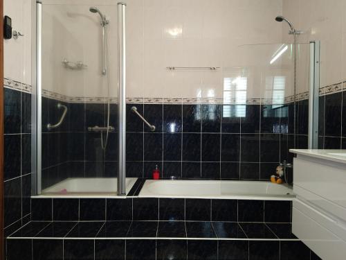 uma casa de banho com uma banheira e um chuveiro em vidro. em Arouca Passadiços Alojamentos em Arouca