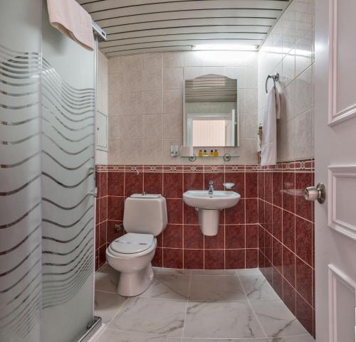 uma casa de banho com um WC e um lavatório em Santa Sophia Hotel - İstanbul em Istambul