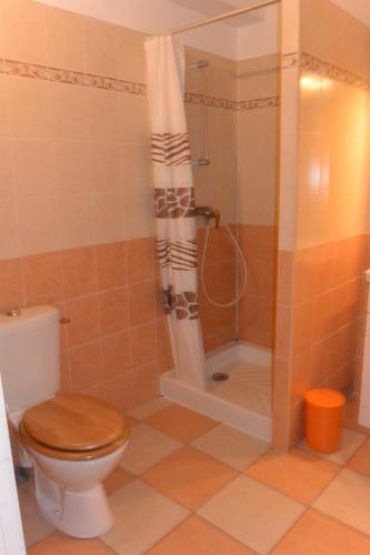 une salle de bain avec toilettes et douche dans l'établissement RUMANA 2- proche plage et commerces, à Aléria