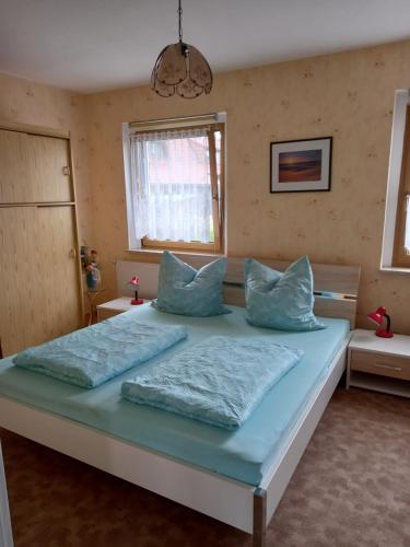 a bedroom with a large bed with blue pillows at Rennsteigwohnung Rust in Schmiedefeld am Rennsteig