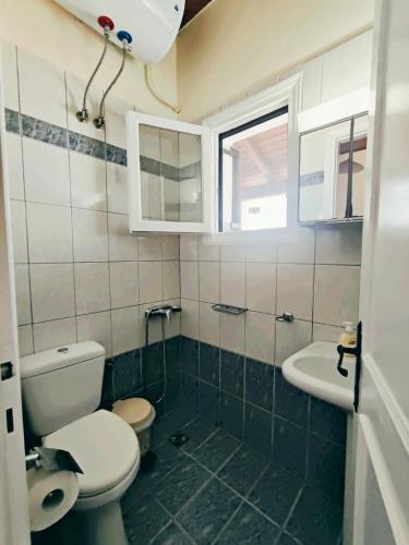 a small bathroom with a toilet and a sink at Kostas Skondros Studio in (( Saoúli ))