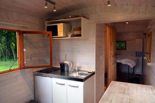 - une cuisine avec évier dans une petite maison dans l'établissement Roulotte paisible au milieu de la nature, à Sainte-Eulalie-en-Born
