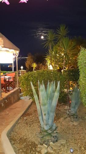 Gallery image of Seaview Apartments Tsilivi in Tsilivi