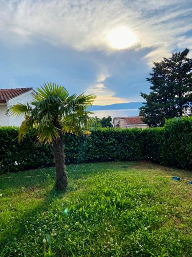a palm tree in a yard next to a hedge at Villa Rudy Holiday Home in Njivice
