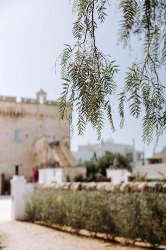 Galeriebild der Unterkunft Masseria Garrappa in Fasano