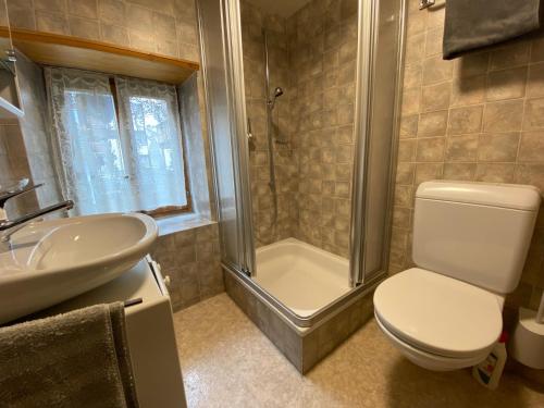 a bathroom with a toilet and a shower and a sink at Sunnu-Loft in Wiler