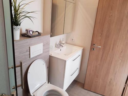 een badkamer met een toilet, een wastafel en een spiegel bij Guesthouse Henia Bed&Spas in Selfoss