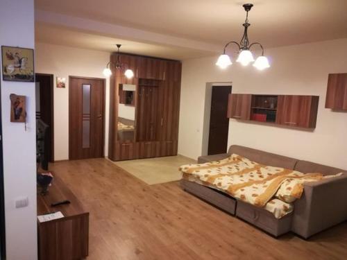 een woonkamer met een bank en een bed erin bij Untold 2024 - 3-room apartment with garden for 6-8 person, 2 private parking in Cluj-Napoca