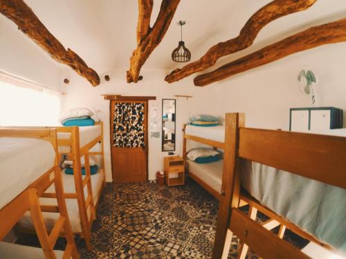 Habitación compartida con 2 literas y ventana en Rey Lagarto Hostel, en San Pedro de Atacama