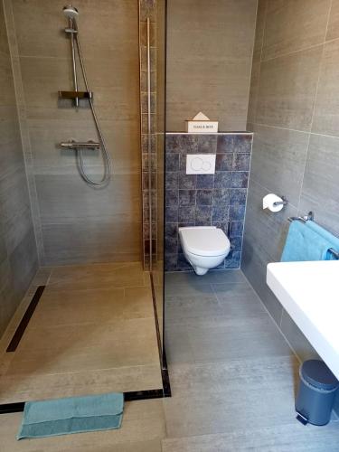 ein Bad mit einer Dusche, einem WC und einem Waschbecken in der Unterkunft Os Mundos in Deurne