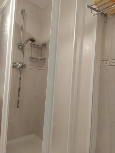 eine Dusche in einem Badezimmer mit Duschvorhang in der Unterkunft O Porto Mariñeiro in Cillero