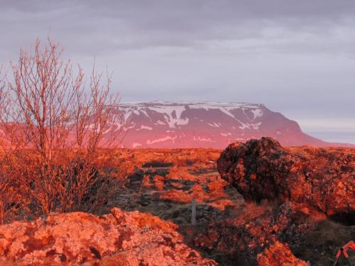 Gallery image of Dimmuborgir Guesthouse in Myvatn