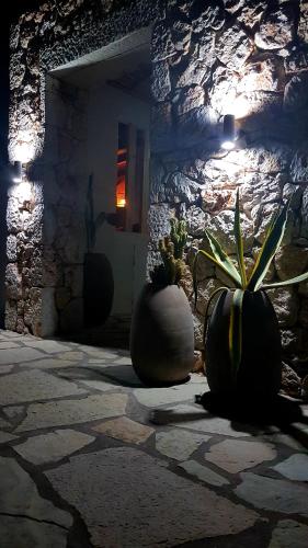 a room with two large pots with plants in it at Luxury Villa Athina in Nikiana