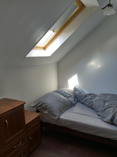a bedroom with a bed and a skylight at Domek Gniewoszówka in Rymanów
