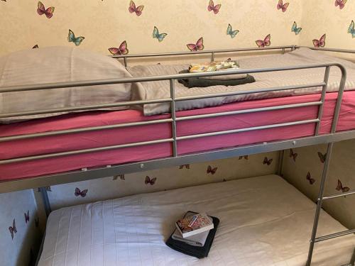 a bunk bed with colorful butterflies on the wall at Morgentau Altenau in Altenau