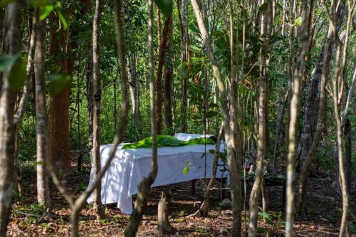 Zahrada ubytování Aldea Coba An Escape Boutique Experience