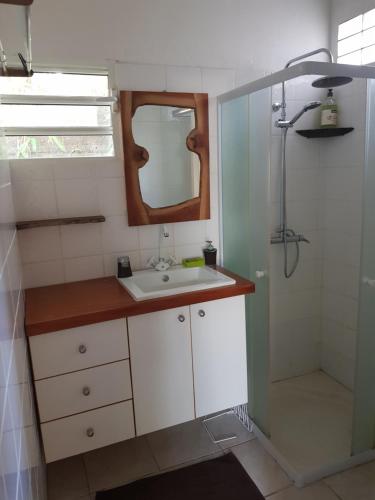 W łazience znajduje się umywalka i prysznic. w obiekcie Le Laurier Rose w mieście Basse-Terre