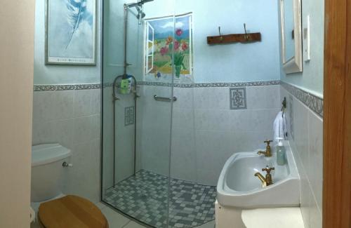 a bathroom with a shower and a toilet and a sink at Cottons Cottages in Simonʼs Town