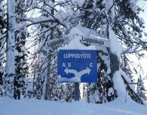 a blue street sign in the snow next to trees at Syöte Luppomaja in Syöte
