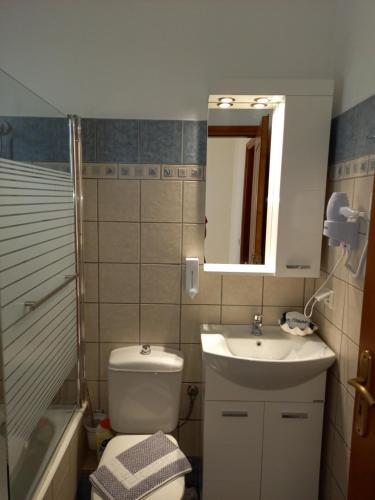 a bathroom with a toilet and a sink and a mirror at To Pithari in Skiros