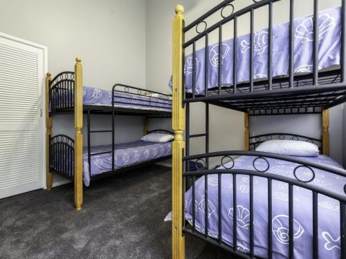 two bunk beds in a room with purple mattresses at Bay Parklands 4, 2 Gowrie Avenue - pool & tennis court in Nelson Bay