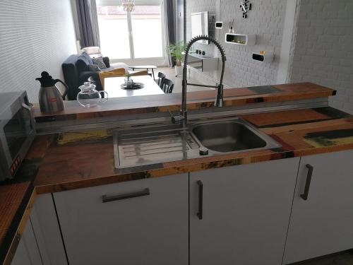 cocina con fregadero y encimera en Central Loft Apartment en Ueckermünde
