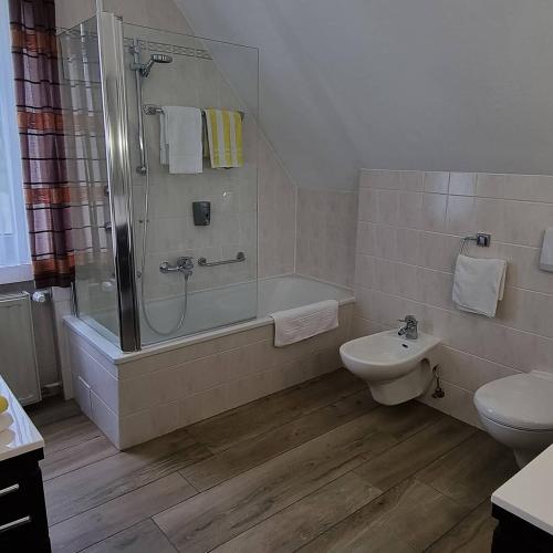 a bathroom with a shower and a toilet and a sink at Hotel Rhöner Land Garni - Bed & Breakfast in Oberthulba