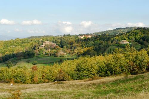 a view of a hill with trees and houses at - Agriturismo La Piaggia - forest view apartment on the ground floor 2 guests in Vivo dʼOrcia