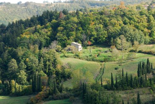 a house on a hill in the middle of a forest at - Agriturismo La Piaggia - forest view apartment on the ground floor 2 guests in Vivo dʼOrcia