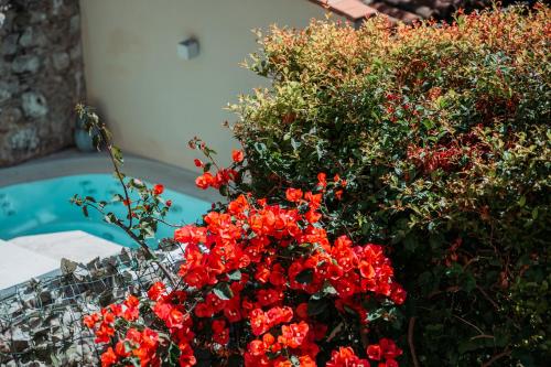 a bunch of red flowers on a stone wall at Private Villa at Villa al Duomo in Taormina