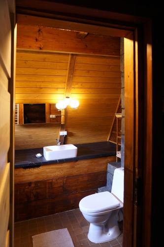a bathroom with a toilet and a sink at Kosarzówka in Bielsko-Biała
