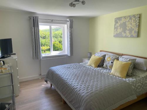 Foto dalla galleria di Westerley Country B & B with exclusive Guest lounge a Buckfastleigh