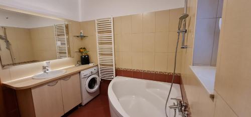 y baño con lavabo y lavadora. en Apartman Breza en Šibenik