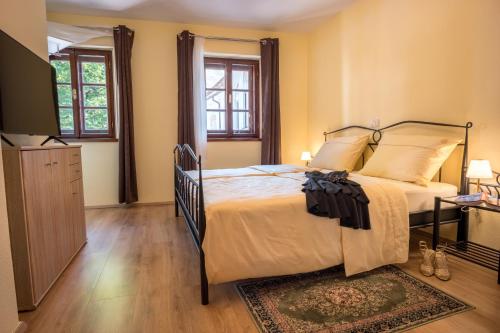 a bedroom with a bed and a television in it at Vila Radolca apartments and rooms in Radovljica