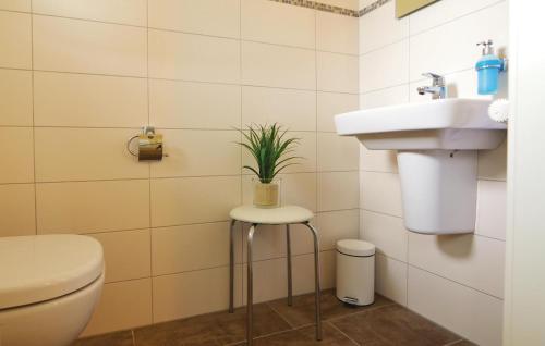 ダゲビュルにあるStunning Home In Dagebll With Kitchenのバスルーム(トイレ、シンク、植物付)