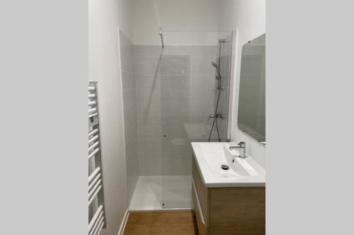 y baño con ducha, lavabo y espejo. en République :Appartement T3 Centre historique en Perpiñán