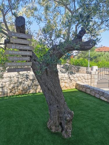 Apartman Ana – Photos 2