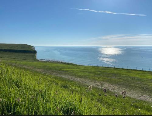 a field of grass with the ocean in the background at Villa le Courlis Panoramic see view in Ault