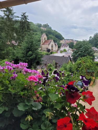 a bunch of colorful flowers in a garden at Le Nid Du Caveau in Ferrette