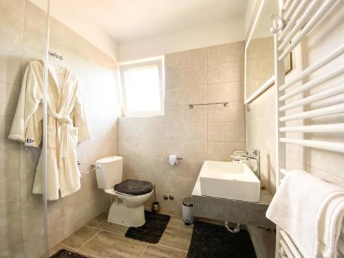 a bathroom with a toilet and a sink at Apartmani Fenestra in Otočac