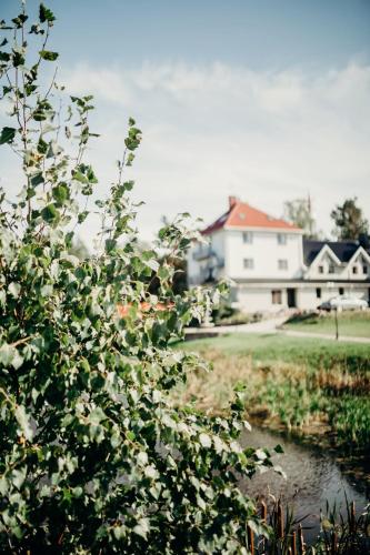 a house and a pond in front of a house at Green Town in Vievis