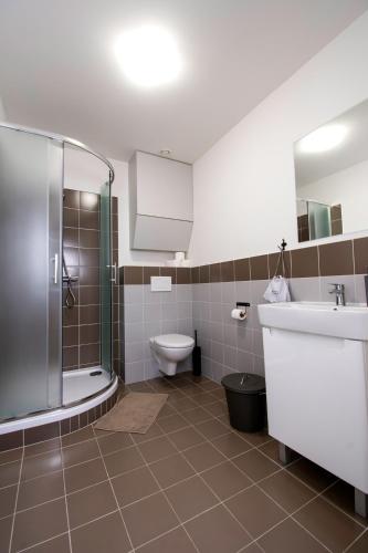 a bathroom with a toilet and a sink and a shower at Penzion a Bistro Dílna in Třeboň
